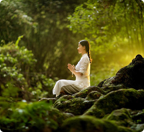 Mind Reset Philosophy